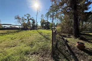 29014 Geneva Dr, Spring, TX 77386 - Photo 11