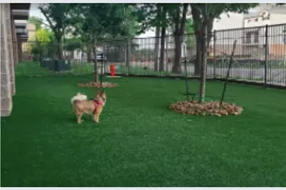 5454 Washington Avenue #1403, Houston, TX 77007 - Photo 17