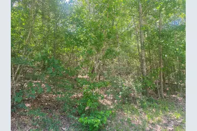 6934 County Road 2252, Cleveland, TX 77327 - Photo 5