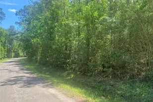 6934 County Rd 2252, Cleveland, TX 77327 - Photo 1