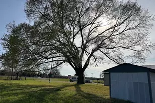 18943 State Hwy 7, Centerville, TX 75833 - Photo 15