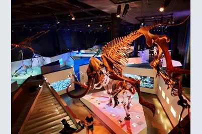 2010 Saint Charles Street, Houston, TX 77003 - Photo 35