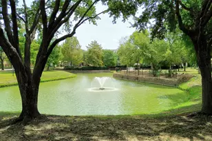 9127 Harbor Hills Dr, Houston, TX 77054 - Photo 47
