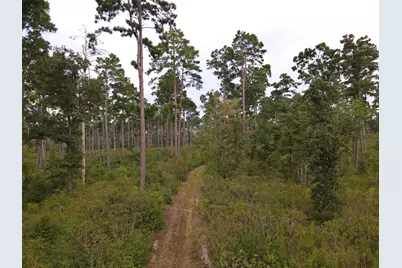 8301 State Highway 7 Highway E, Centerville, TX 75833 - Photo 11