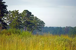 8301 State Hwy 7 Hwy E, Centerville, TX 75833 - Photo 1