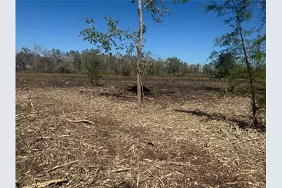 1914 1st Street, Liverpool, TX 77577 - Photo 5