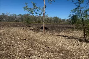 1914 1st St, Liverpool, TX 77577 - Photo 5