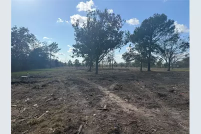 1914 1st Street, Liverpool, TX 77577 - Photo 1