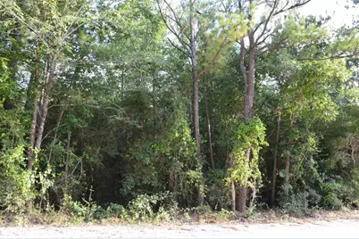 10182 County Road 208, Anderson, TX 77830 - Photo 23