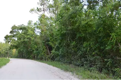 10182 County Road 208, Anderson, TX 77830 - Photo 3