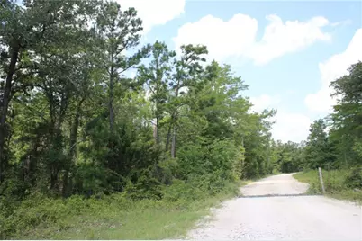 10182 County Road 208, Anderson, TX 77830 - Photo 19