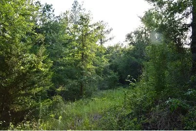 10182 County Road 208, Anderson, TX 77830 - Photo 21