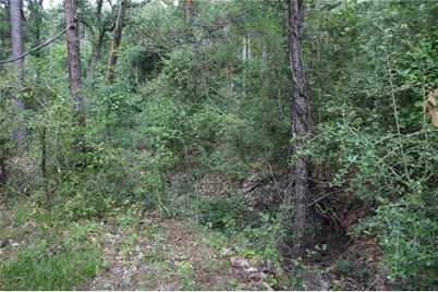 10182 County Road 208, Anderson, TX 77830 - Photo 13