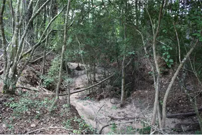 10182 County Road 208, Anderson, TX 77830 - Photo 7
