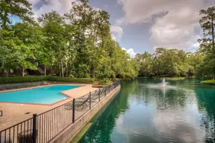 246 Litchfield Ln, Houston, TX 77024 - Photo 19