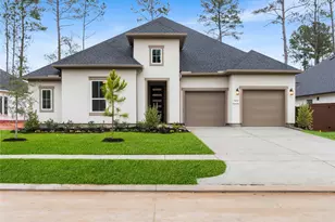 29738 Shady Glade, Magnolia, TX 77354 - Photo 1