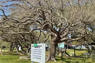 423 Calumet, Palacios, TX 77465 - Photo 31