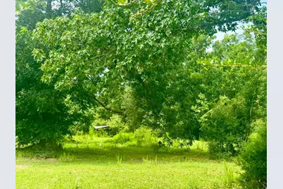 3882 Co Rd 4875, Warren, TX 77664 - Photo 21