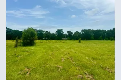 3882 Co Rd 4875, Warren, TX 77664 - Photo 9