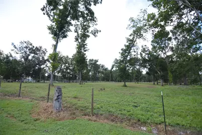 40617 Lg Lane, Brookshire, TX 77423 - Photo 11