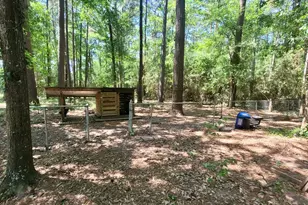10900 Hwy 156, Coldspring, TX 77331 - Photo 7