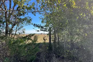 2053 Farm To Market 1291, New Ulm, TX 78950 - Photo 35