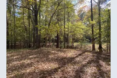 3210 Fm 3065, Colmesneil, TX 75938 - Photo 37