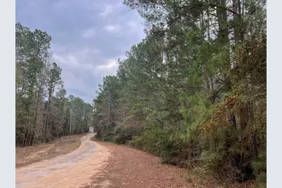 2 Union Springs Road, Corrigan, TX 75939 - Photo 3