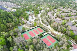 406 Wild Petunia Ct, Montgomery, TX 77316 - Photo 29