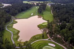 8915 Blackwoods Ct, Porter, TX 77365 - Photo 21