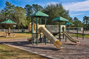 317 Ridge Lake Scenic Dr, Montgomery, TX 77316 - Photo 45