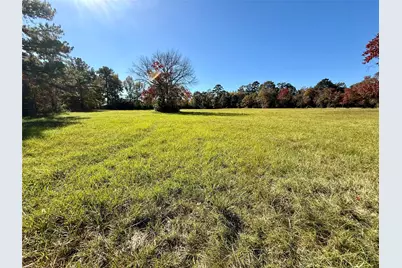 225 State Highway Loop 116, Livingston, TX 77351 - Photo 9