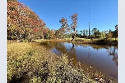 225 State Highway Loop 116, Livingston, TX 77351 - Photo 11