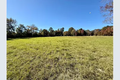 225 State Highway Loop 116, Livingston, TX 77351 - Photo 15