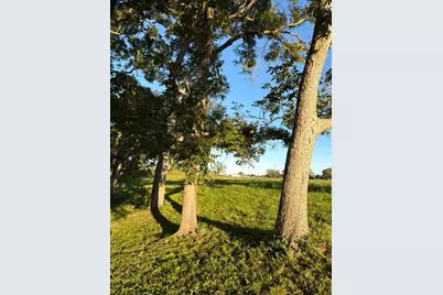 16318 Deerhaven Run, Rosharon, TX 77583 - Photo 7