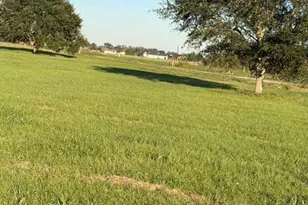 16318 Deerhaven Run, Rosharon, TX 77583 - Photo 1