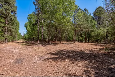 6077 000 Cr 4200, Pennington, TX 75856 - Photo 7