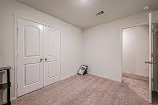 9915 Garnet Grove Dr, Rosharon, TX 77583 - Photo 23