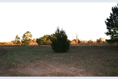 1350 Peters San Felipe Road, Sealy, TX 77474 - Photo 29