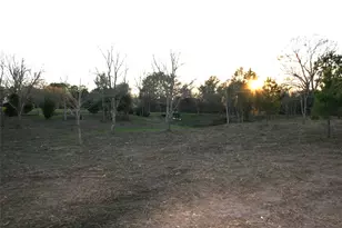 Tbd Peters San Felipe Rd, Sealy, TX 77474 - Photo 1