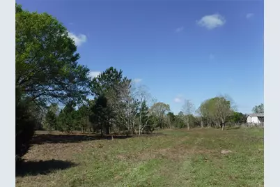 1350 Peters San Felipe Road, Sealy, TX 77474 - Photo 9