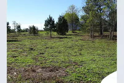 1350 Peters San Felipe Road, Sealy, TX 77474 - Photo 21