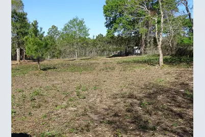 1350 Peters San Felipe Road, Sealy, TX 77474 - Photo 23