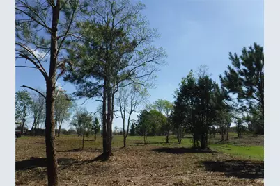 1350 Peters San Felipe Road, Sealy, TX 77474 - Photo 7