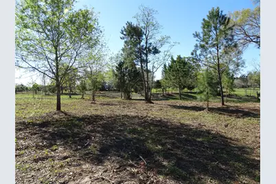 1350 Peters San Felipe Road, Sealy, TX 77474 - Photo 5