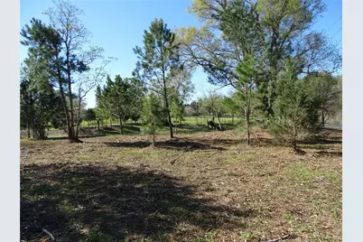 1350 Peters San Felipe Road, Sealy, TX 77474 - Photo 25