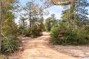 17300 FM943, Livingston, TX 77351 - Photo 17