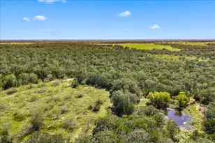 6625 N Old Smithville Rd, Muldoon, TX 78949 - Photo 1