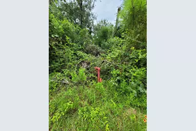 26791 Redwood Drive, Hempstead, TX 77445 - Photo 3