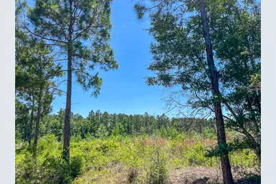 T-3 Union Springs Road, Corrigan, TX 75939 - Photo 3